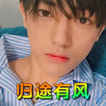 归途有风